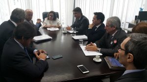 Representantes da FNP se reúnem com os senadores Carlos Valadares e Lídice da Mata, entre outros parlamentares